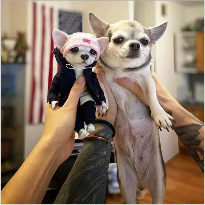 GooDIYou | PET SHOP