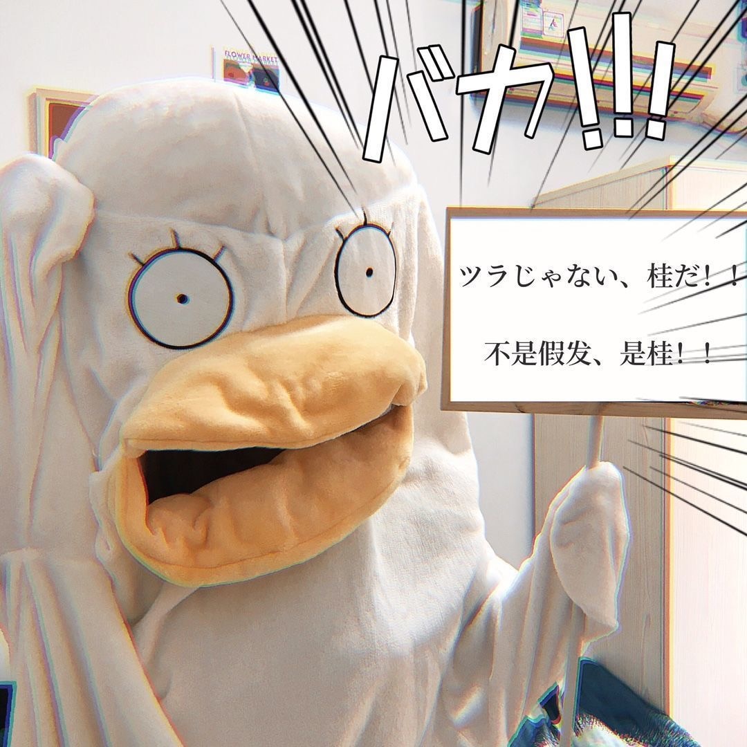 GooDIYou | ZOO
