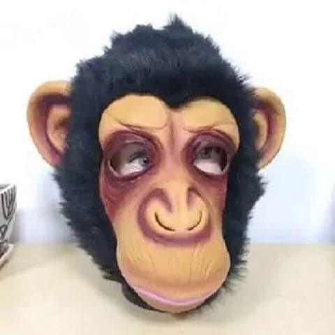 GooDIYou | ZOO