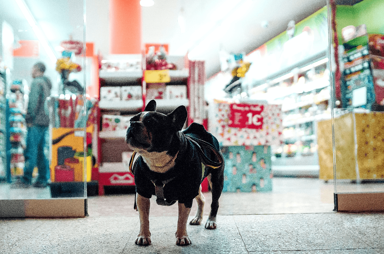 Pet Shop - GooDIYou