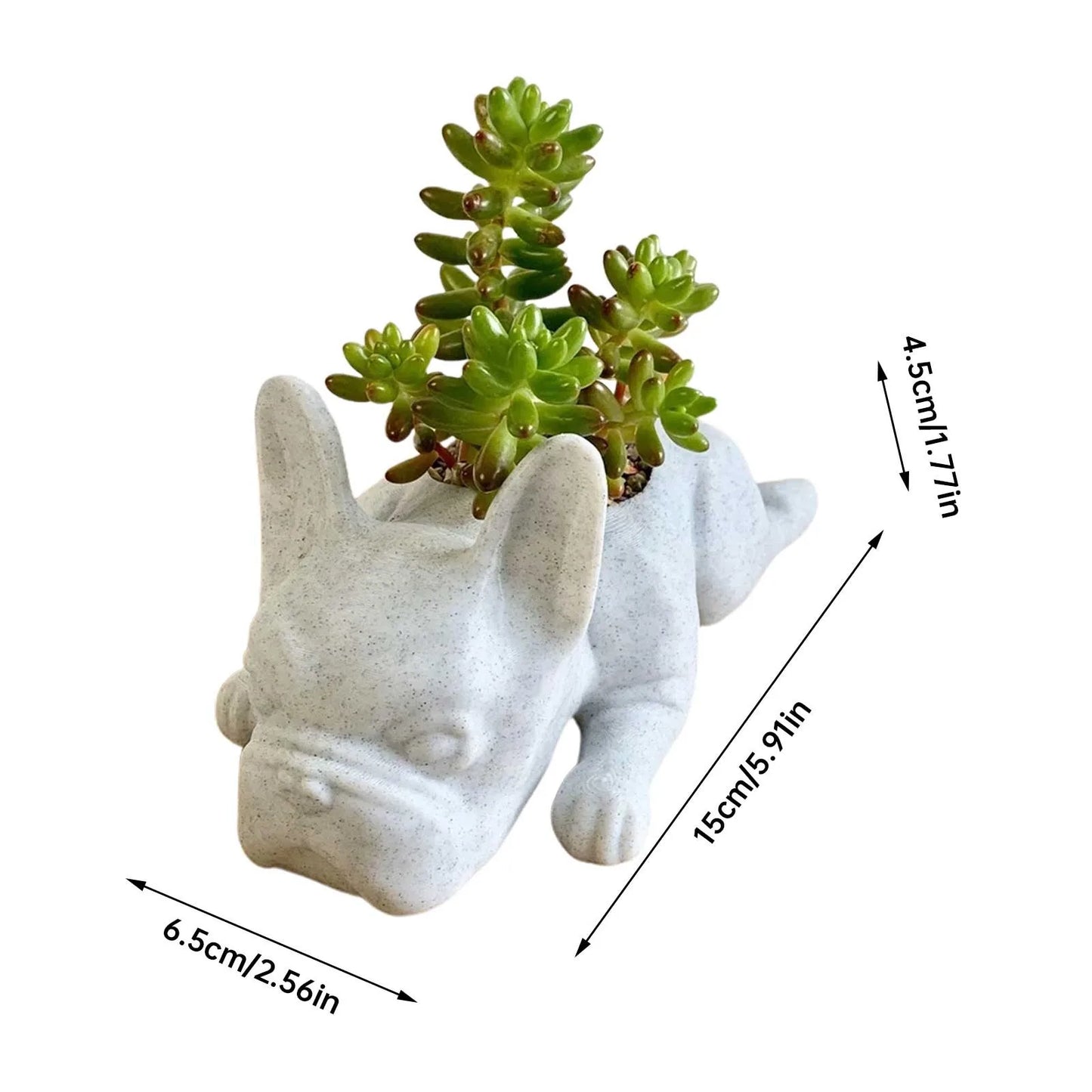 Bulldog Figurine Orchid Pot