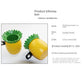 Pineapple Cup Holder