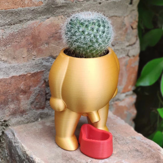 3D Succulent Plant Peeing Pot
