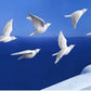 Resin Birds 3d Creative Wall Stickers