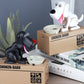Electronic Animal Lucky Durable Coin Bank