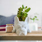 Bulldog Figurine Orchid Pot