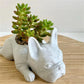 Bulldog Figurine Orchid Pot