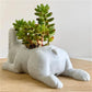 Bulldog Figurine Orchid Pot