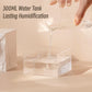 300ml Moon Air Humidifier