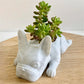 Bulldog Figurine Orchid Pot