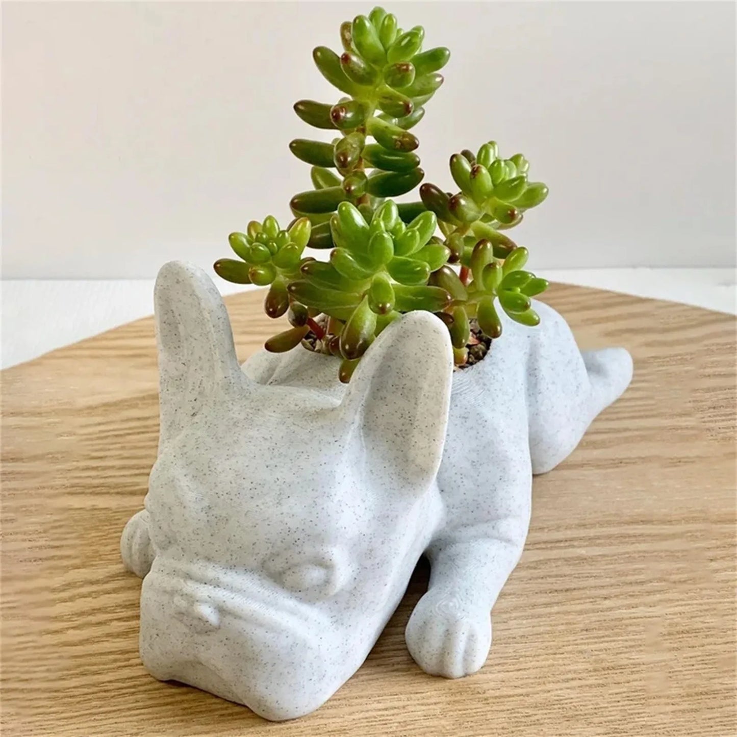Bulldog Figurine Orchid Pot