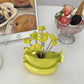 Banana Model Food Picks