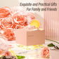 300ml Moon Air Humidifier